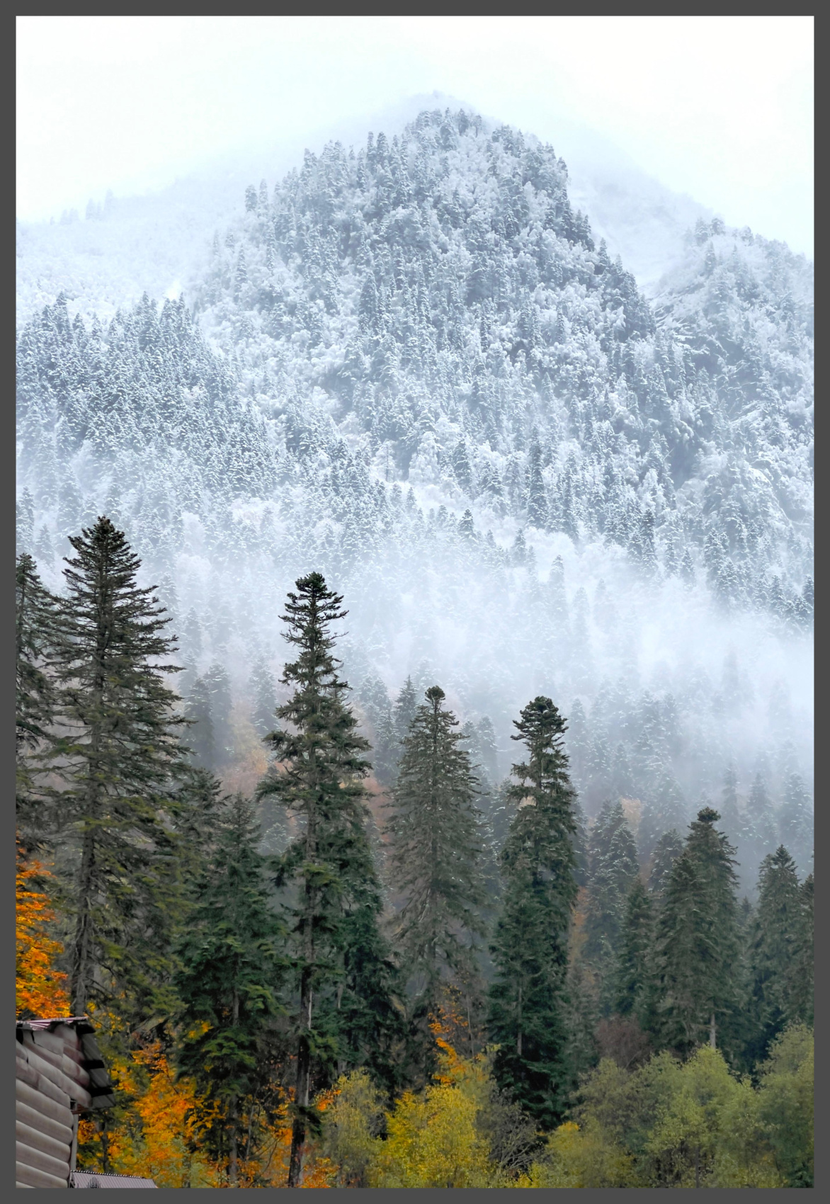 Снежный Домбай+Архыз. Экскурсии+катание/обучение! (12/38)