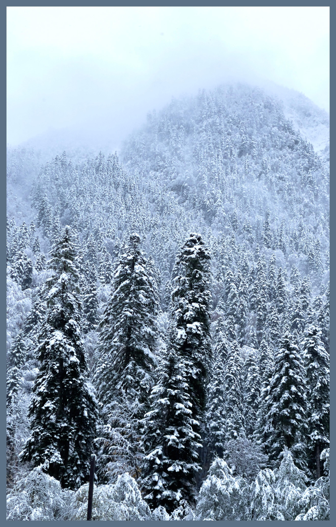 Снежный Домбай+Архыз. Экскурсии+катание/обучение! (20/38)