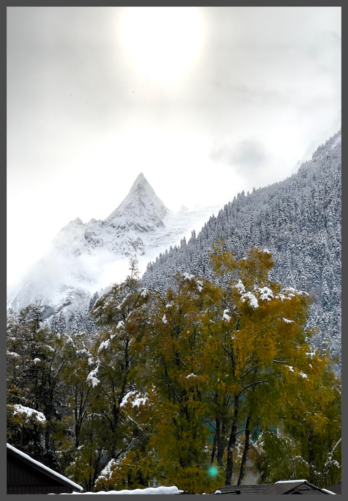 Снежный Домбай+Архыз. Экскурсии+катание/обучение! (7/38)