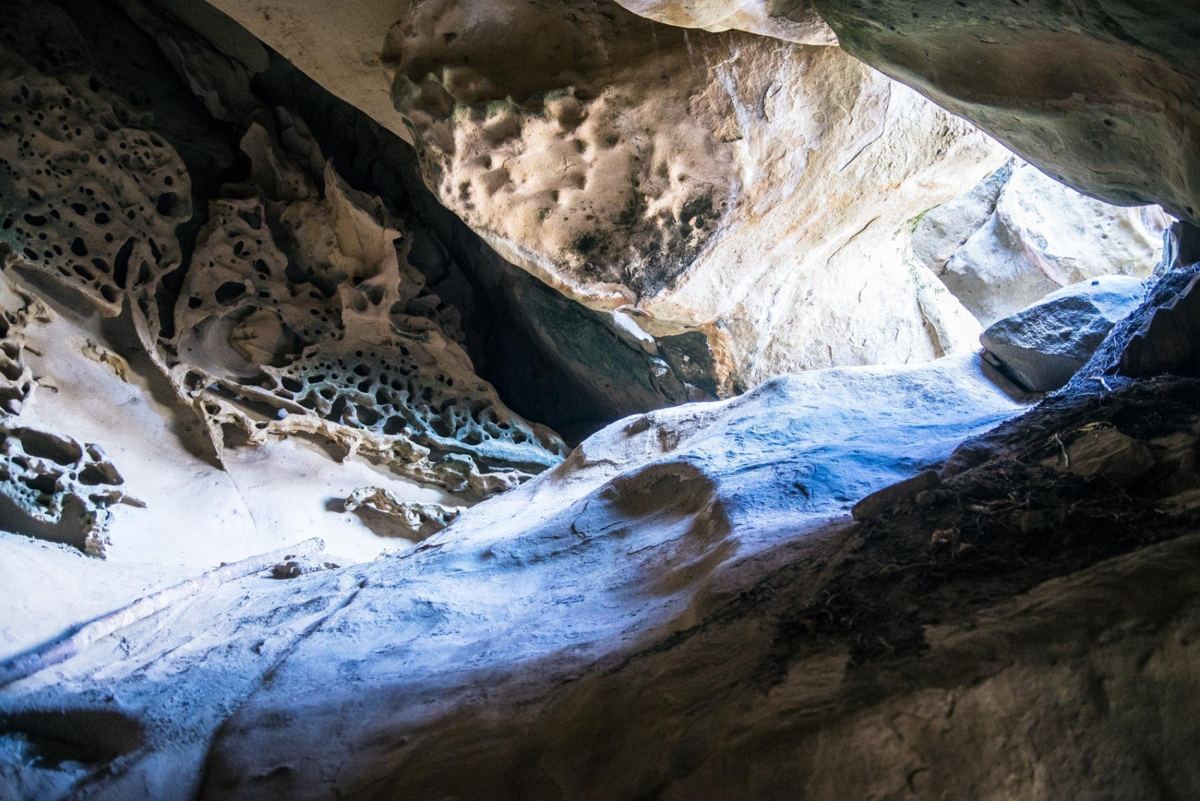 Снежный Домбай+Архыз. Экскурсии+катание/обучение! (11/38)