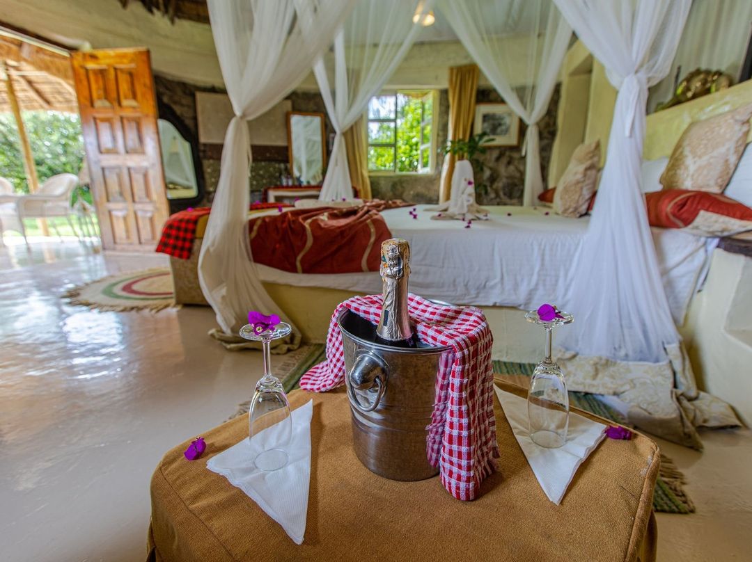 7-ДНЕВНОЕ ПРИКЛЮЧЕНИЕ ПО ДИКОЙ ПРИРОДЕ ТАНЗАНИИ  (2/26)