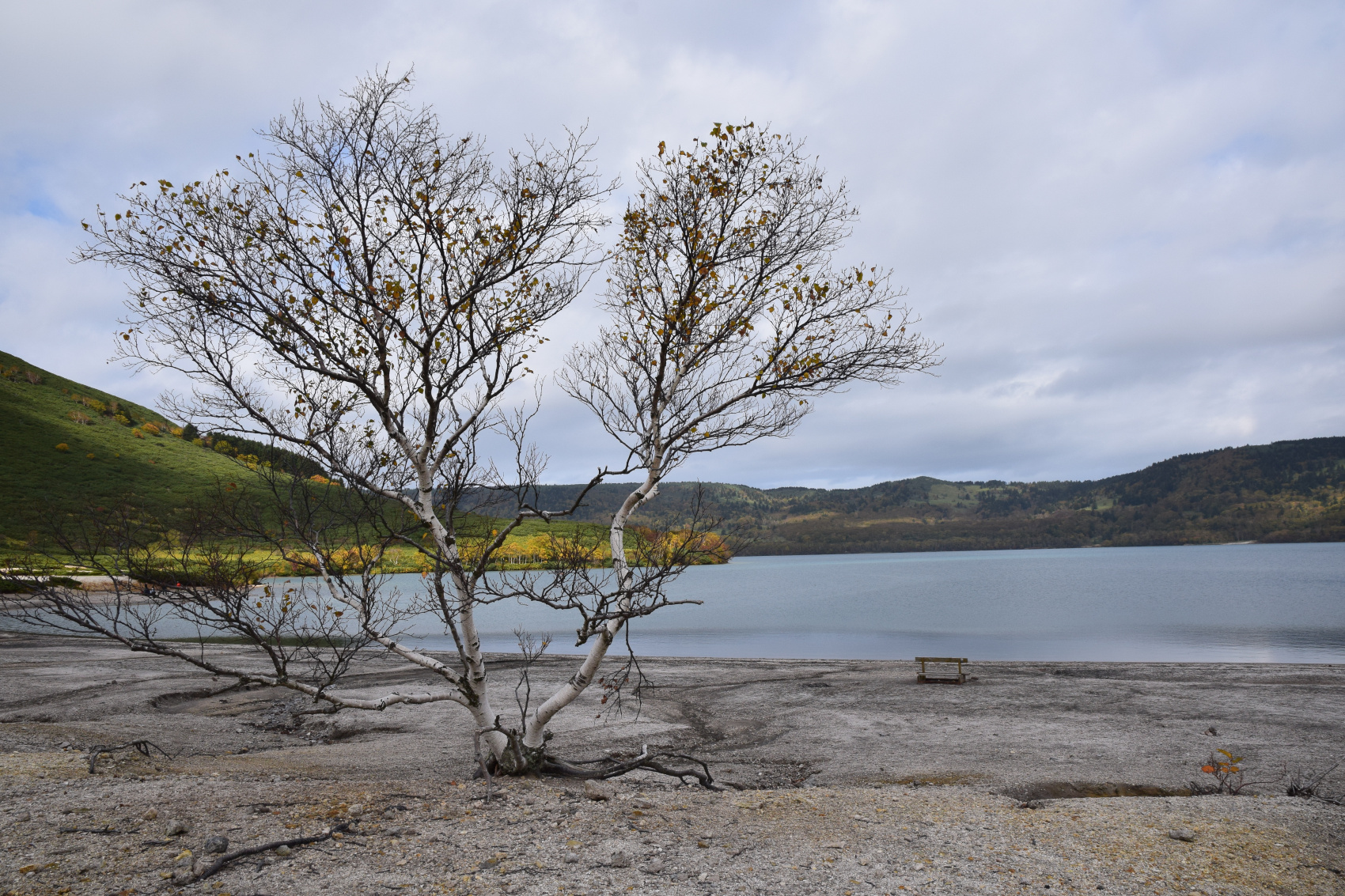 Притягательный Кунашир (7/28)