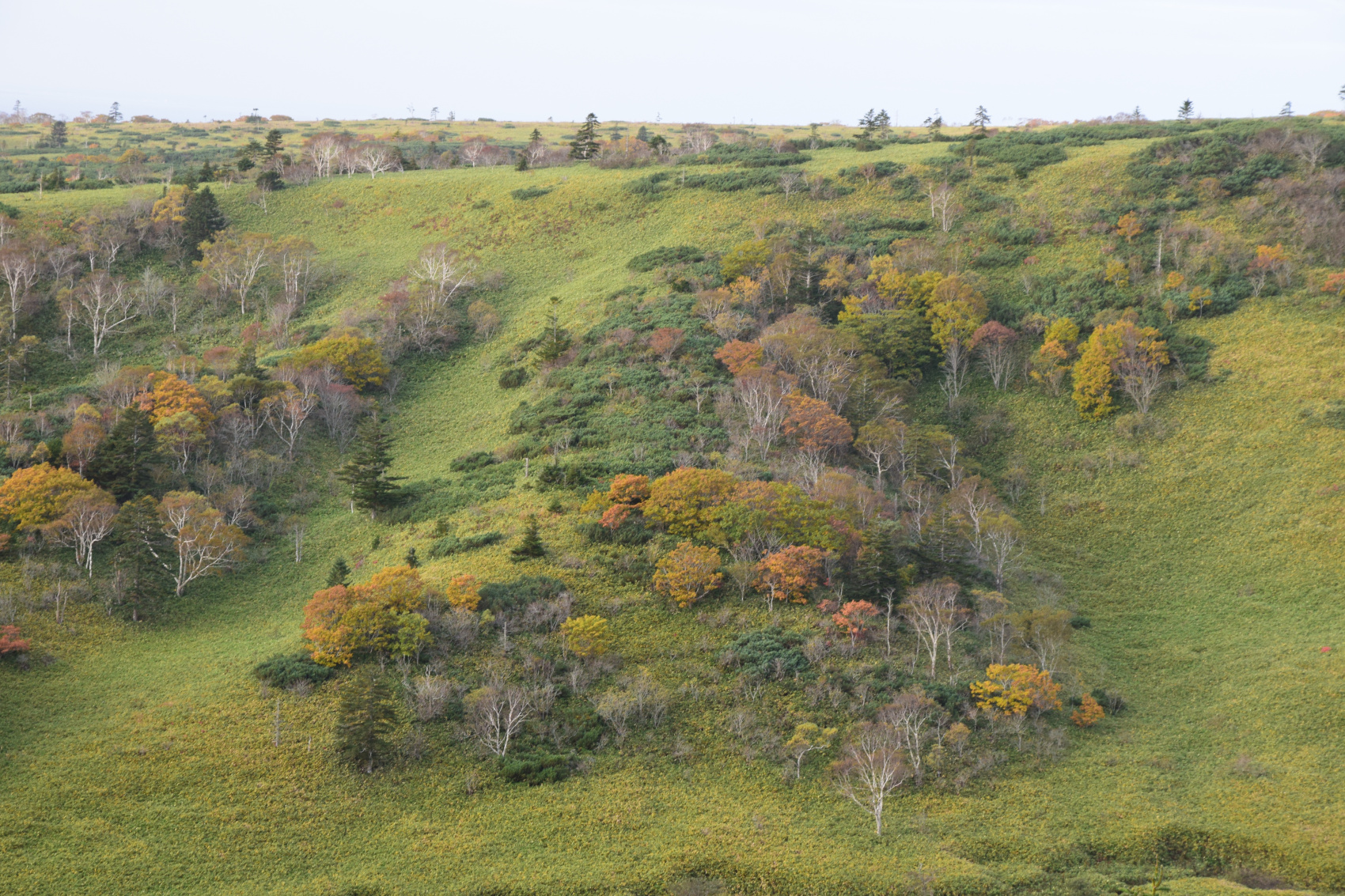 Притягательный Кунашир (5/28)