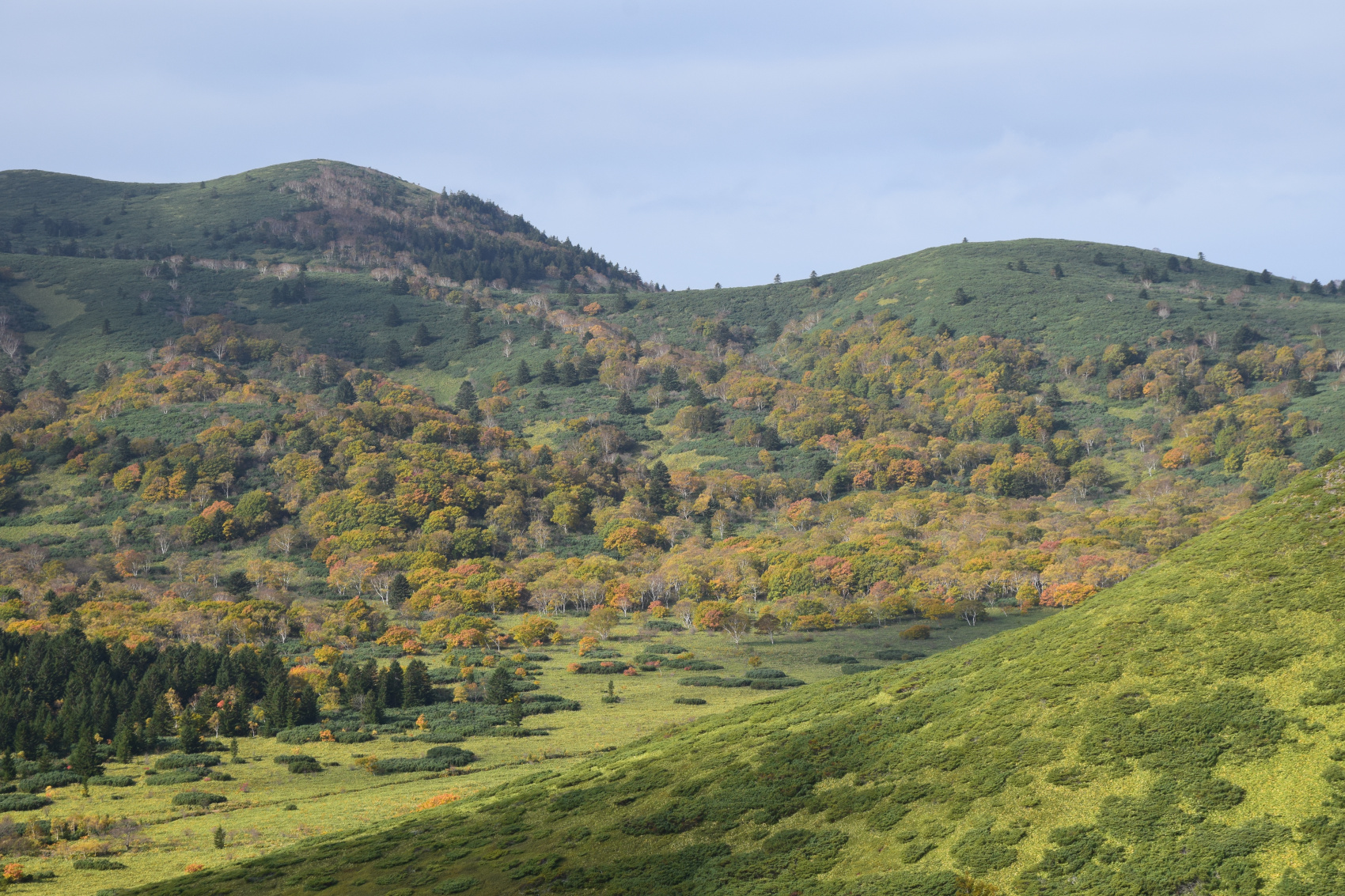 Притягательный Кунашир (6/28)
