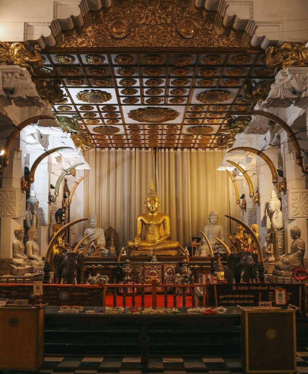 Встреча со Шри-Ланкой забираем из любого города Шри-Ланки (4/27)