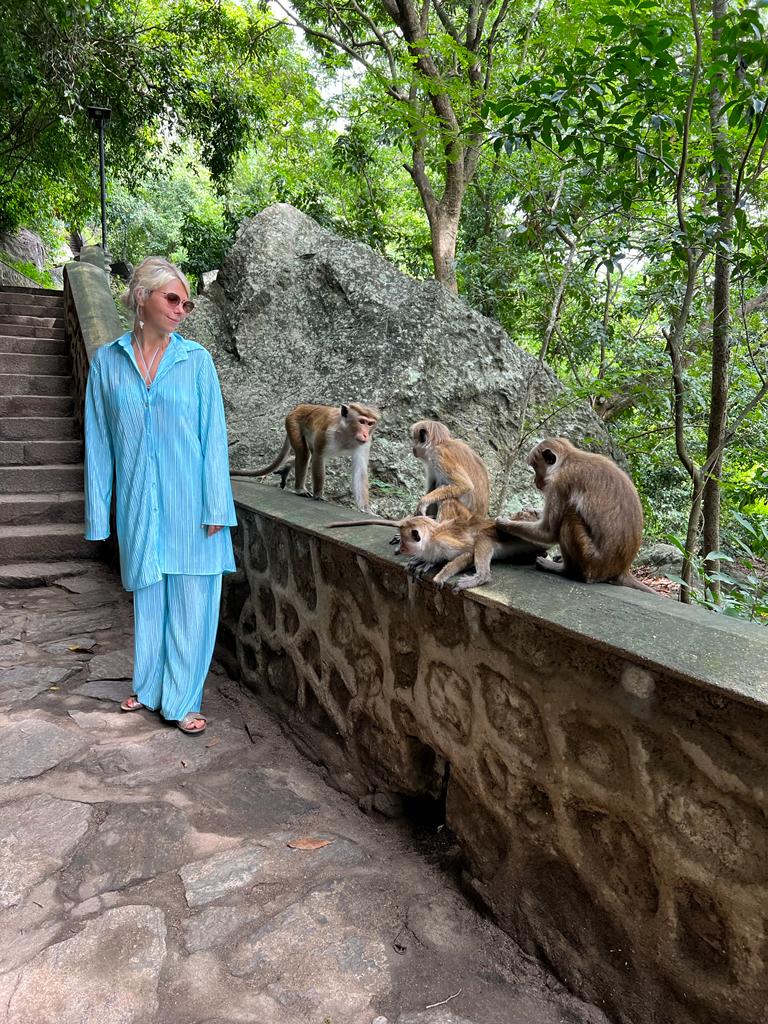 Встреча со Шри-Ланкой забираем из любого города Шри-Ланки (8/27)