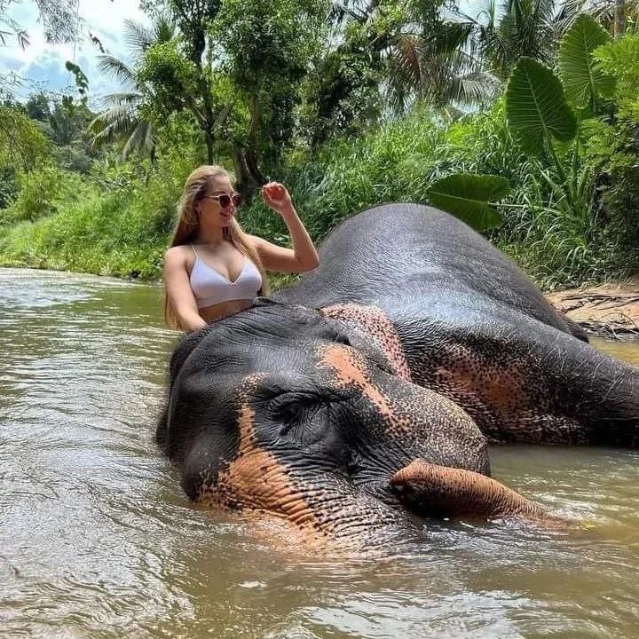 Встреча со Шри-Ланкой забираем из любого города Шри-Ланки (2/27)