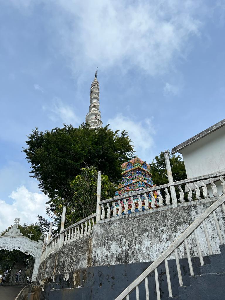 Встреча со Шри-Ланкой забираем из любого города Шри-Ланки (10/27)