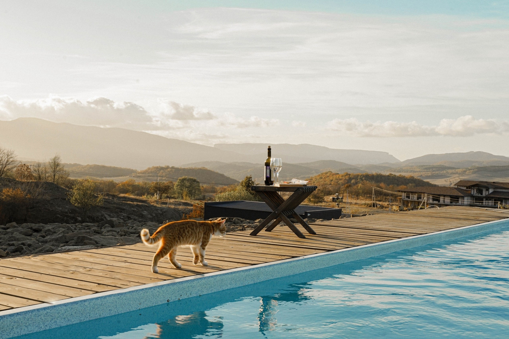 Крымский девичник  2025 (7/55)