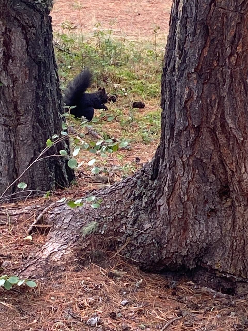 Стихия Северного Байкала (сплав) (9/57)