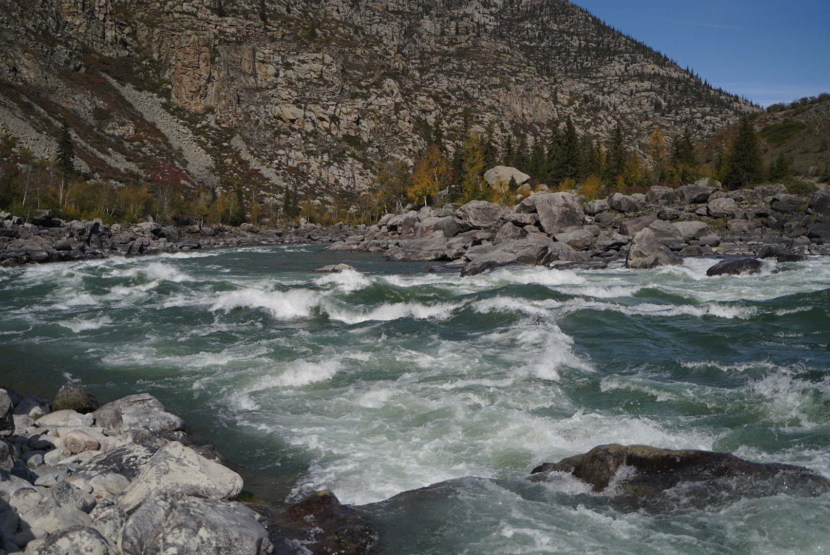 Цветение Маральника (15/17)