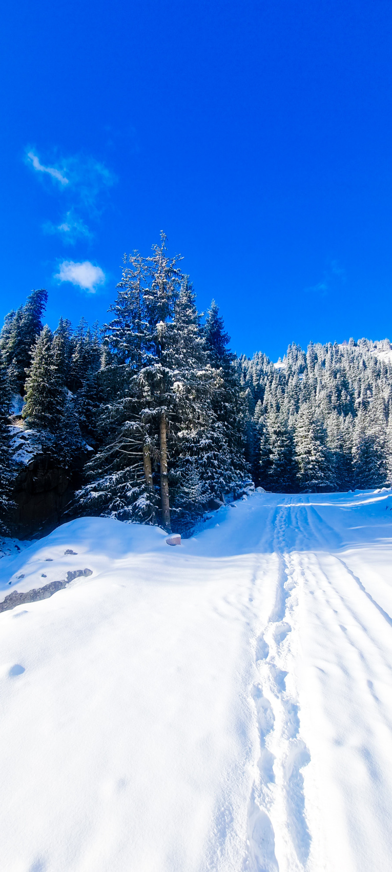 Зимний Иссык Куль! Перезагрузка от городской суеты (22/36)