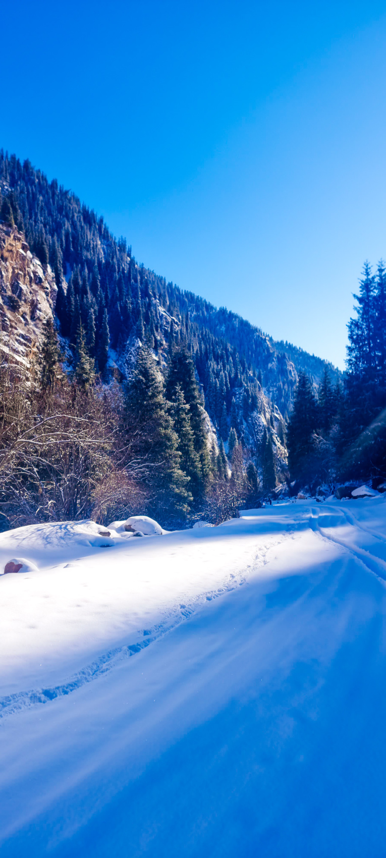Зимний Иссык Куль! Перезагрузка от городской суеты (19/36)