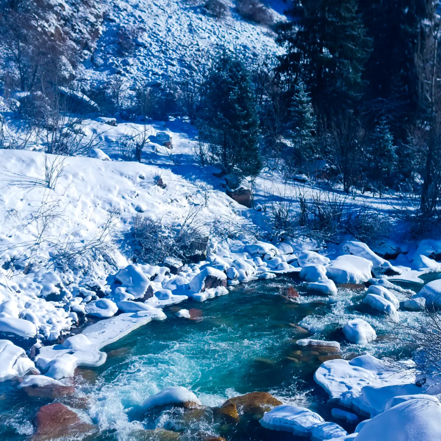 Зимний Иссык Куль! Перезагрузка от городской суеты (3/36)