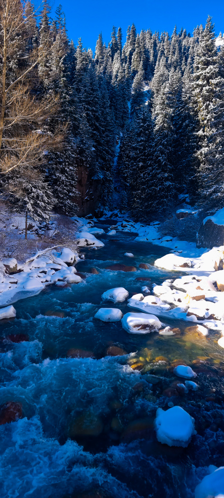Зимний Иссык Куль! Перезагрузка от городской суеты (23/36)