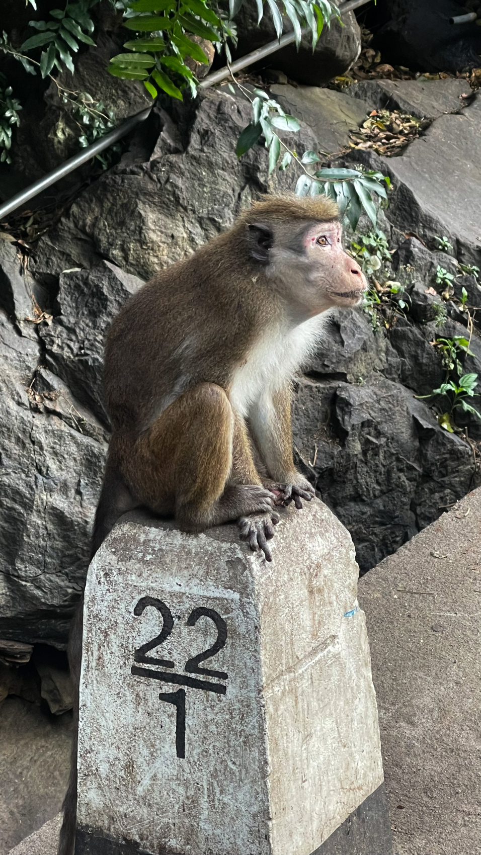Фитнес-девичник на Шри-Ланку! Включено все, даже Перелет! (25/49)