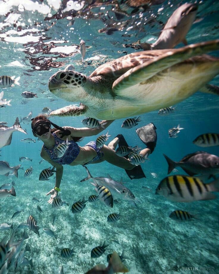 Фитнес-девичник на Шри-Ланку! Включено все, даже Перелет! (19/49)