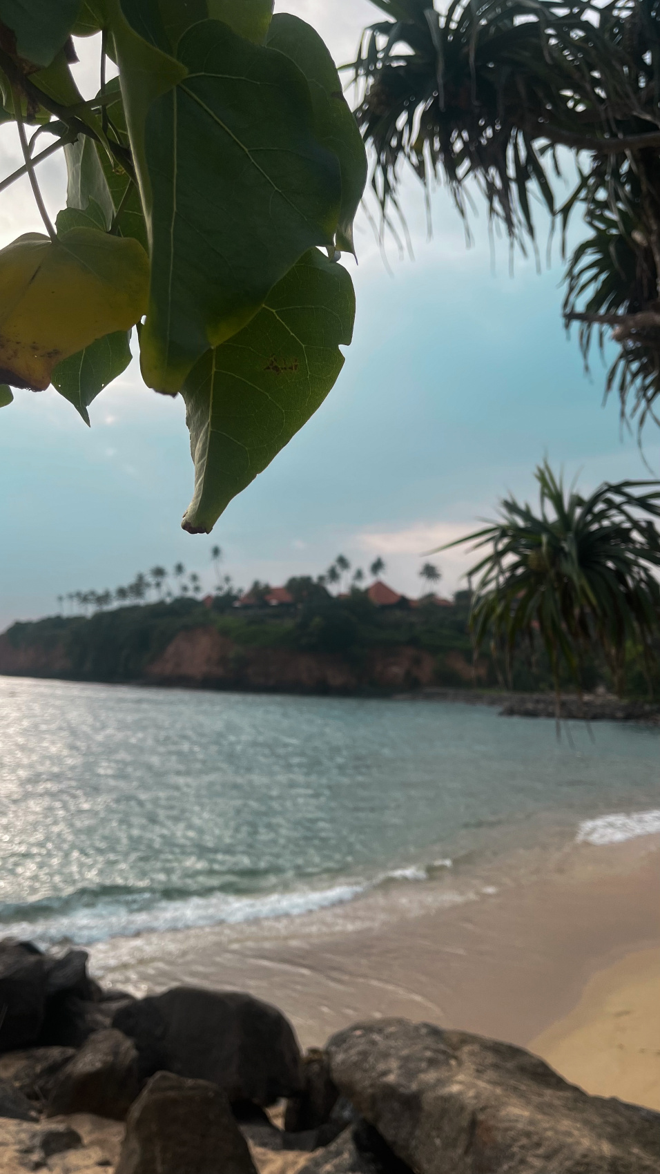 Фитнес-девичник на Шри-Ланку! Включено все, даже Перелет! (6/49)