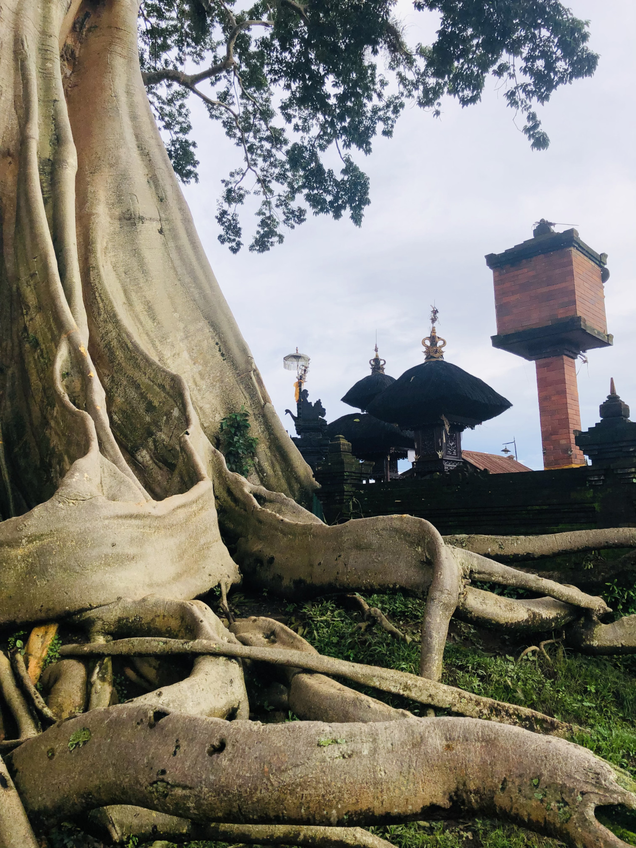 Балийское Блаженство. Волшебное Женское  Путешествие на изумрудном Острове Богов. (30/138)