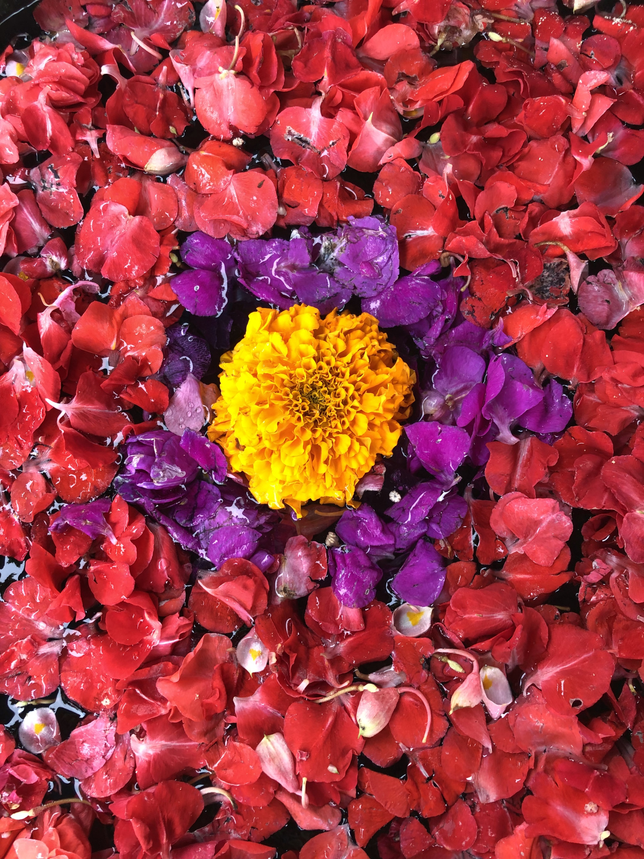 Балийское Блаженство. Волшебное Женское  Путешествие на изумрудном Острове Богов. (23/138)