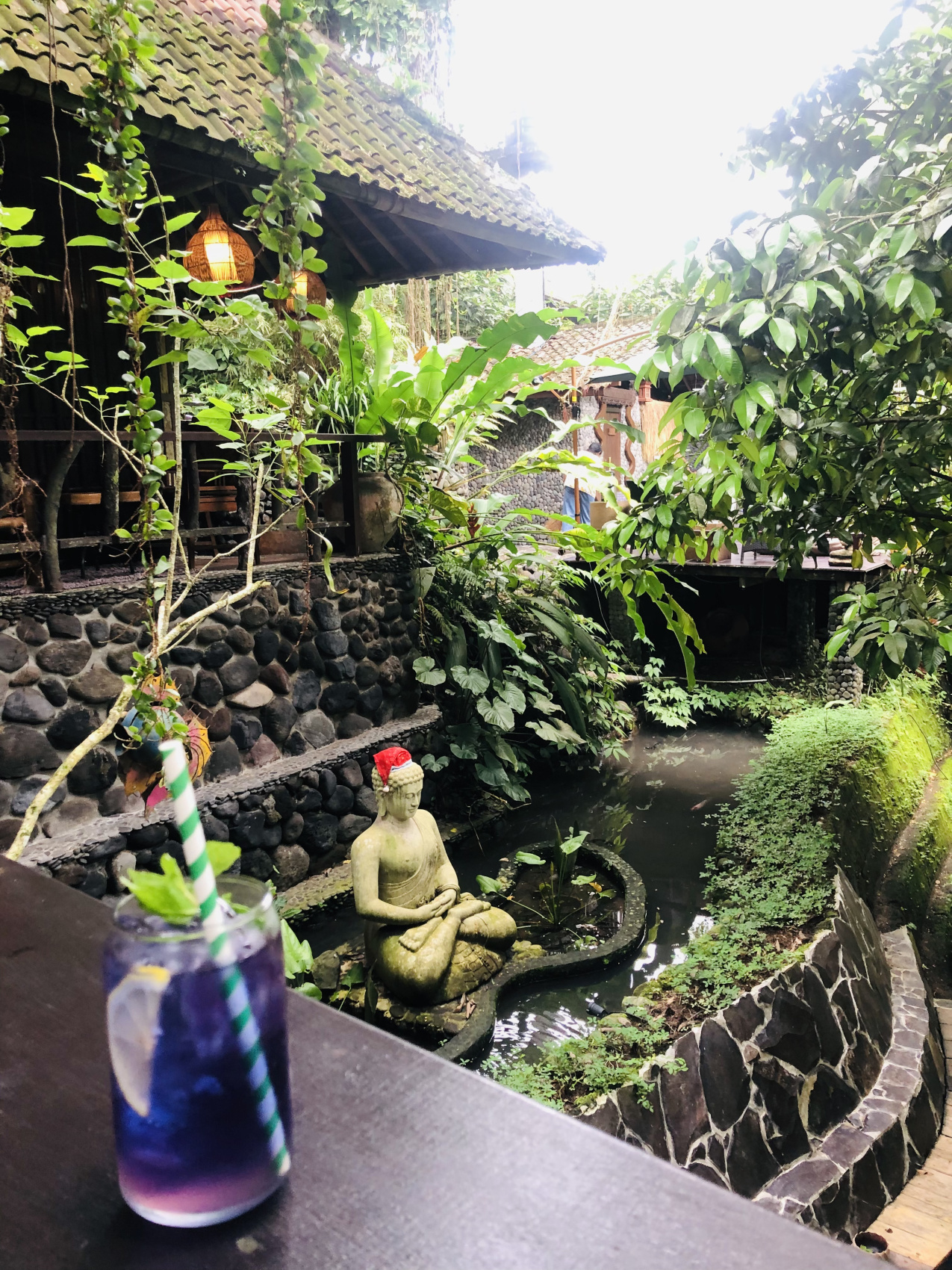 Балийское Блаженство. Волшебное Женское  Путешествие на изумрудном Острове Богов. (33/138)