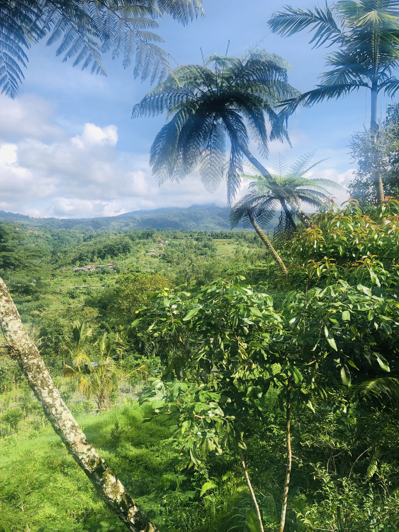 Балийское Блаженство. Волшебное Женское  Путешествие на изумрудном Острове Богов. (35/138)