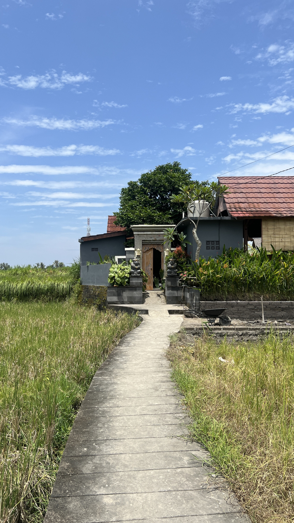 Балийское Блаженство. Волшебное Женское  Путешествие на изумрудном Острове Богов. (51/138)