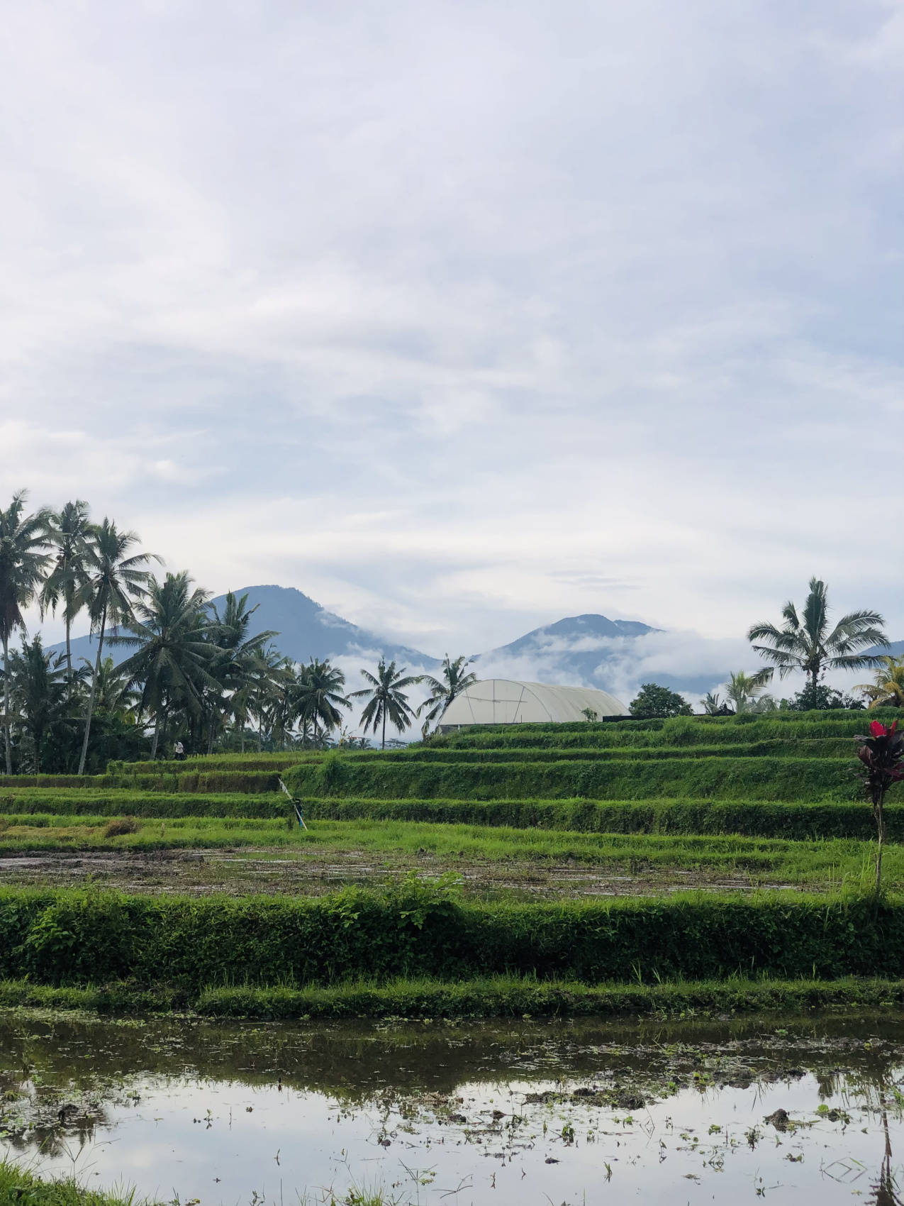 Балийское Блаженство. Волшебное Женское  Путешествие на изумрудном Острове Богов. (34/138)