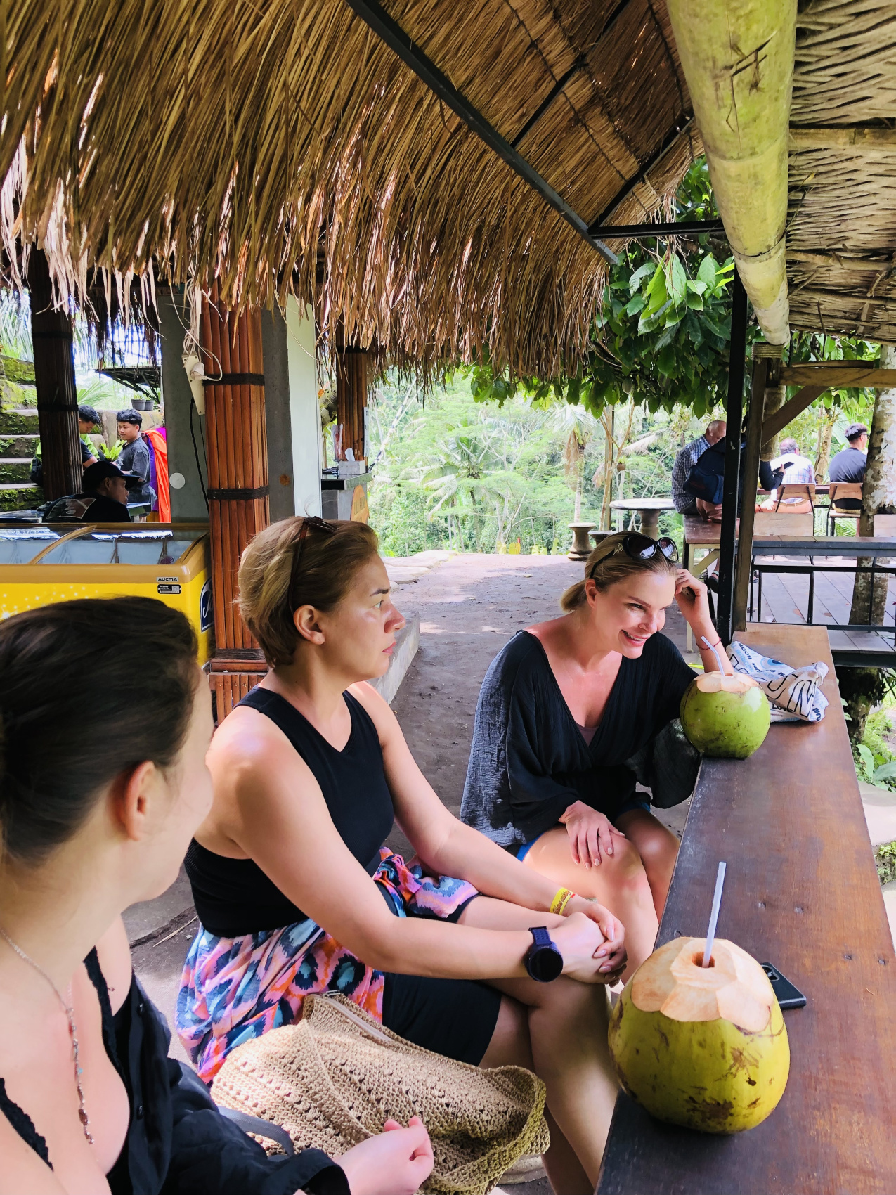 Балийское Блаженство. Волшебное Женское  Путешествие на изумрудном Острове Богов. (39/138)