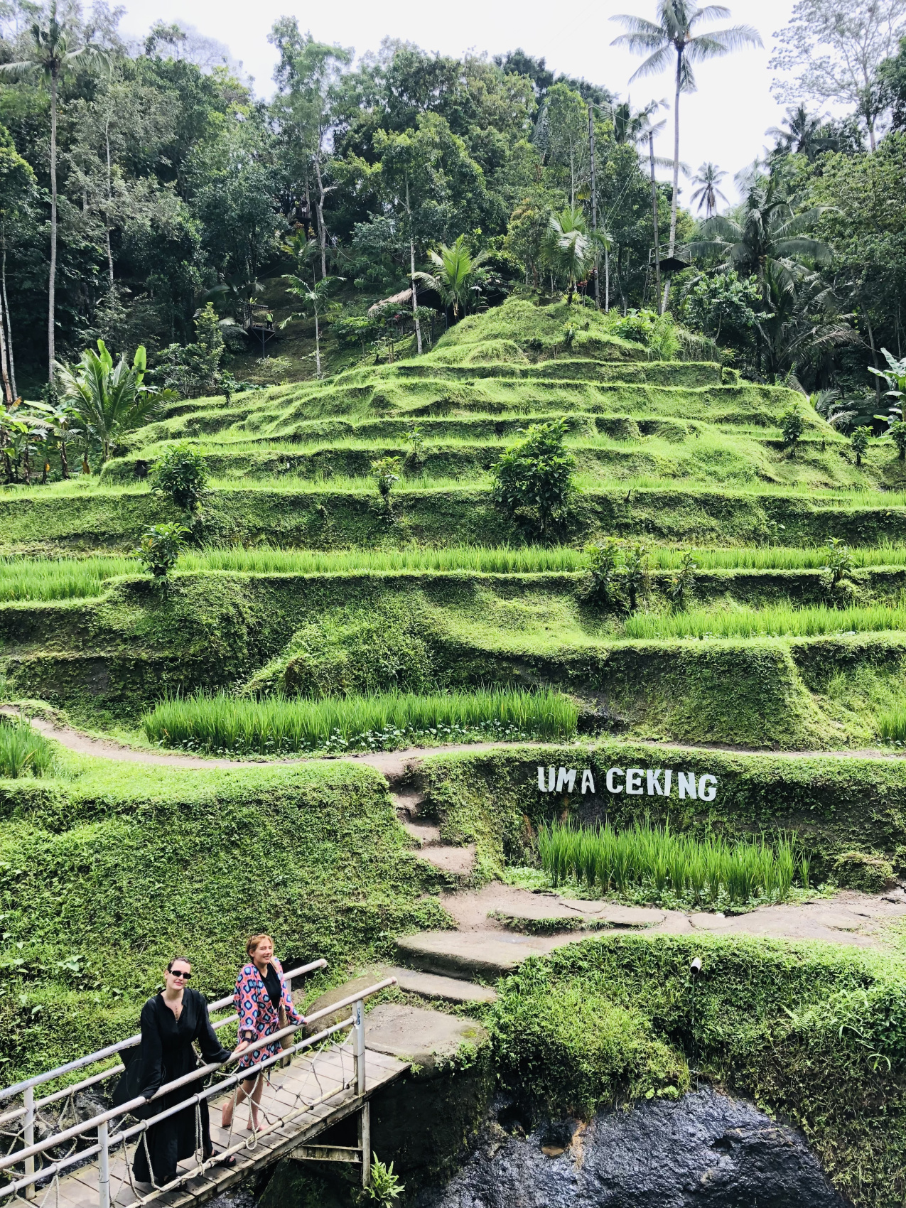 Балийское Блаженство. Волшебное Женское  Путешествие на изумрудном Острове Богов. (19/138)