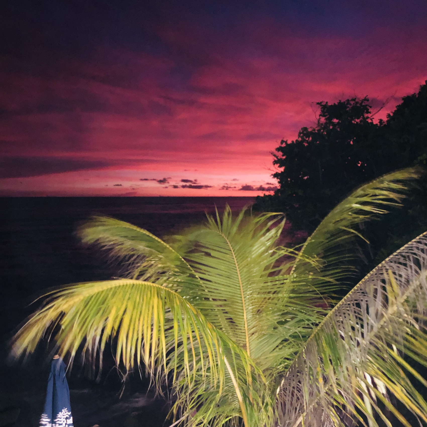 Балийское Блаженство. Волшебное Женское  Путешествие на изумрудном Острове Богов. (37/138)