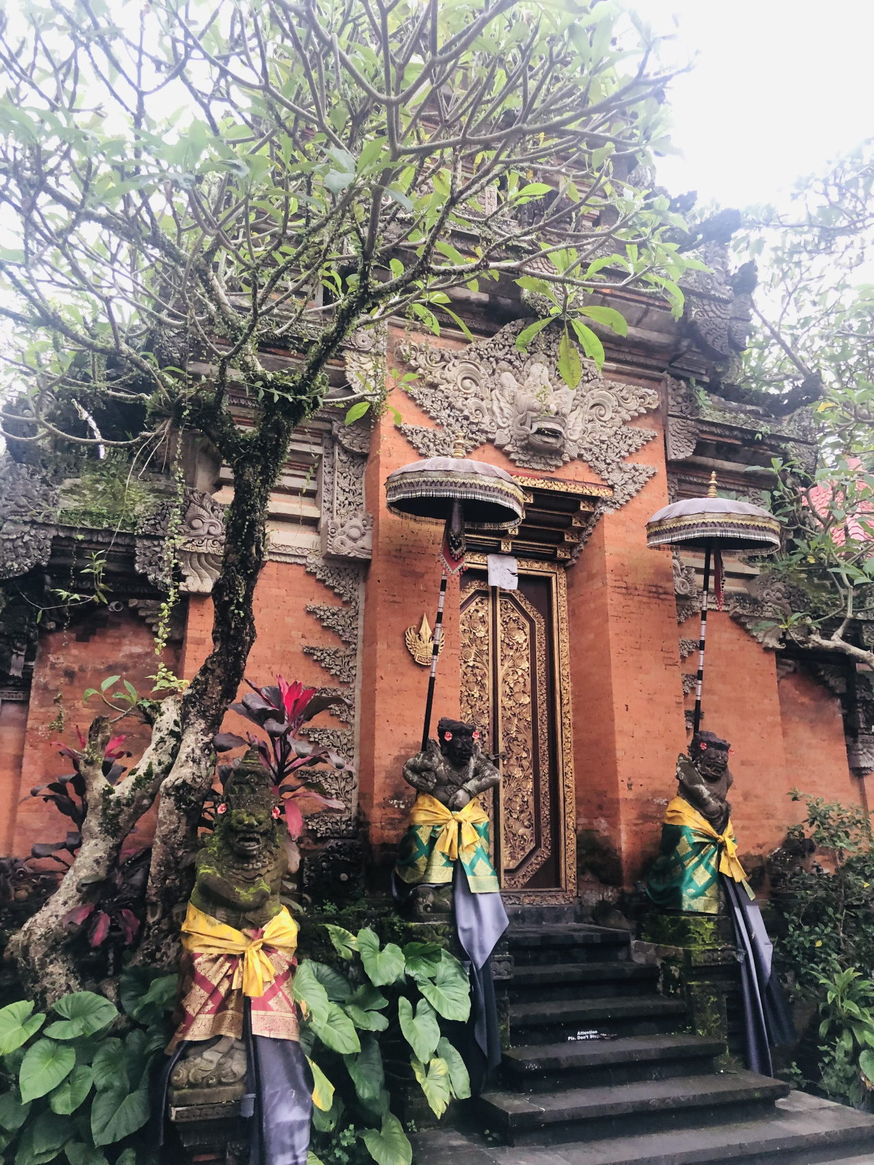 Балийское Блаженство. Волшебное Женское  Путешествие на изумрудном Острове Богов. (41/138)