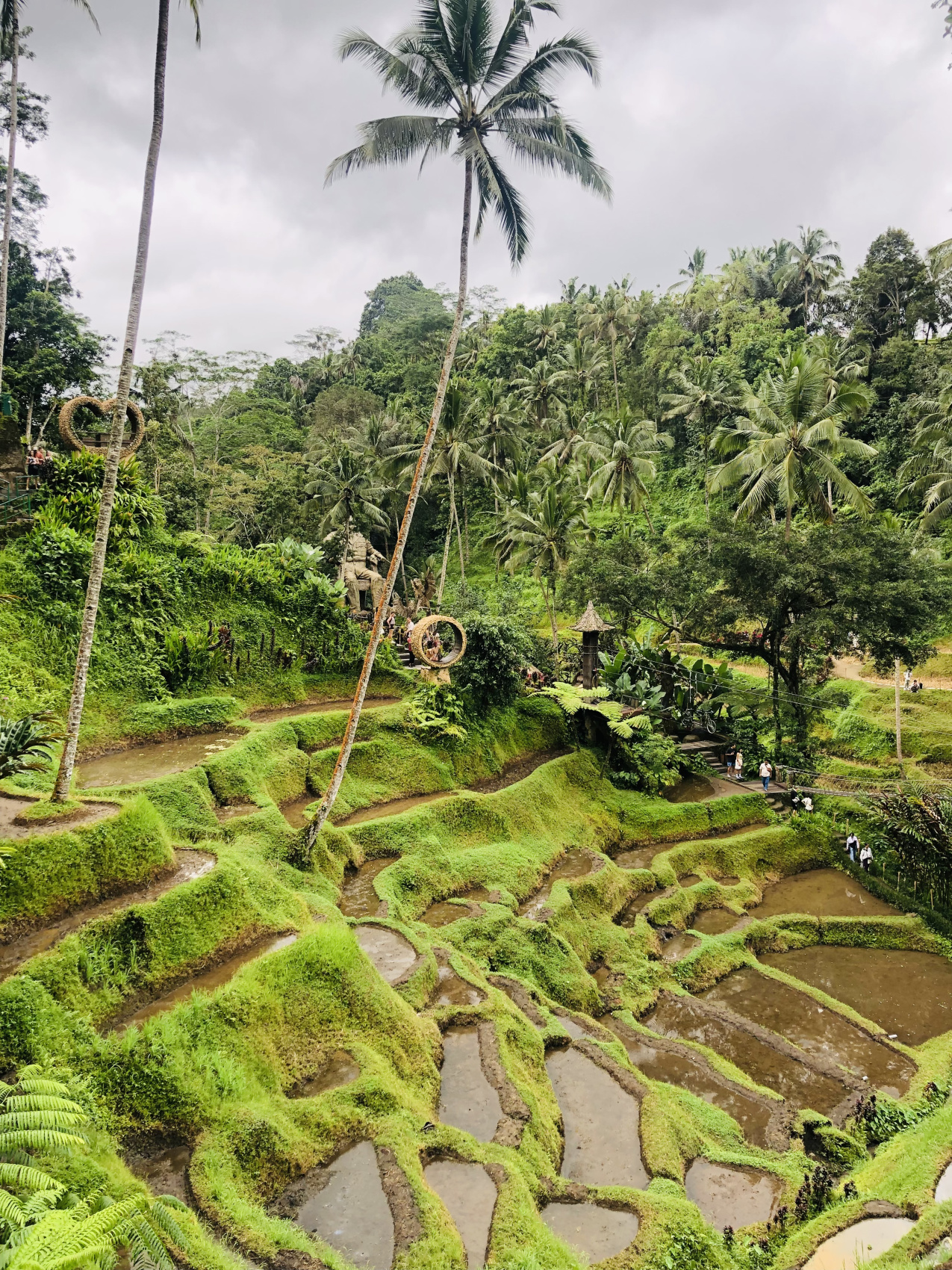 Балийское Блаженство. Волшебное Женское  Путешествие на изумрудном Острове Богов. (46/138)