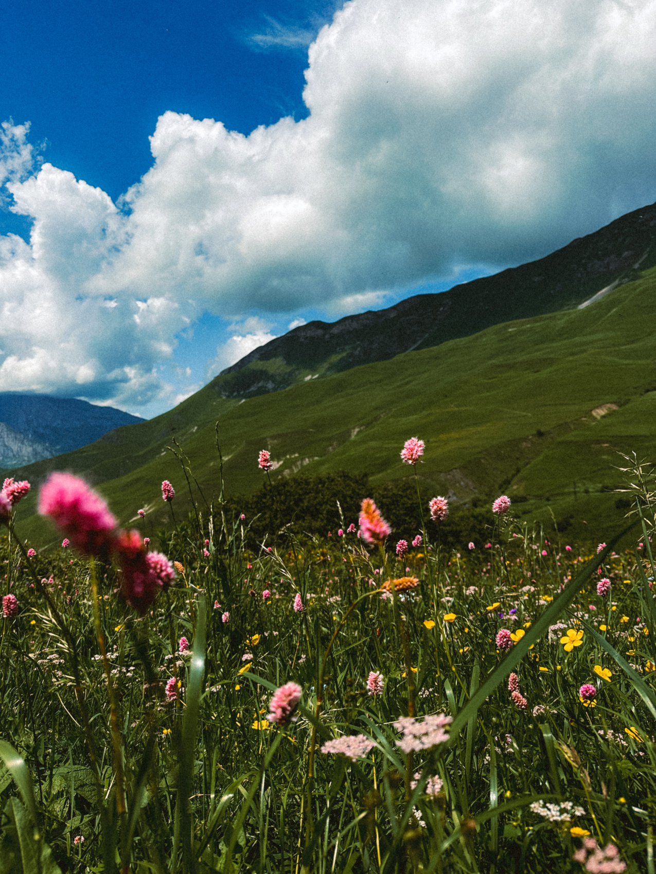 Мама, Я В Осетии. 3 Дня. Из Владикавказа! Топовый Тур (2/53)