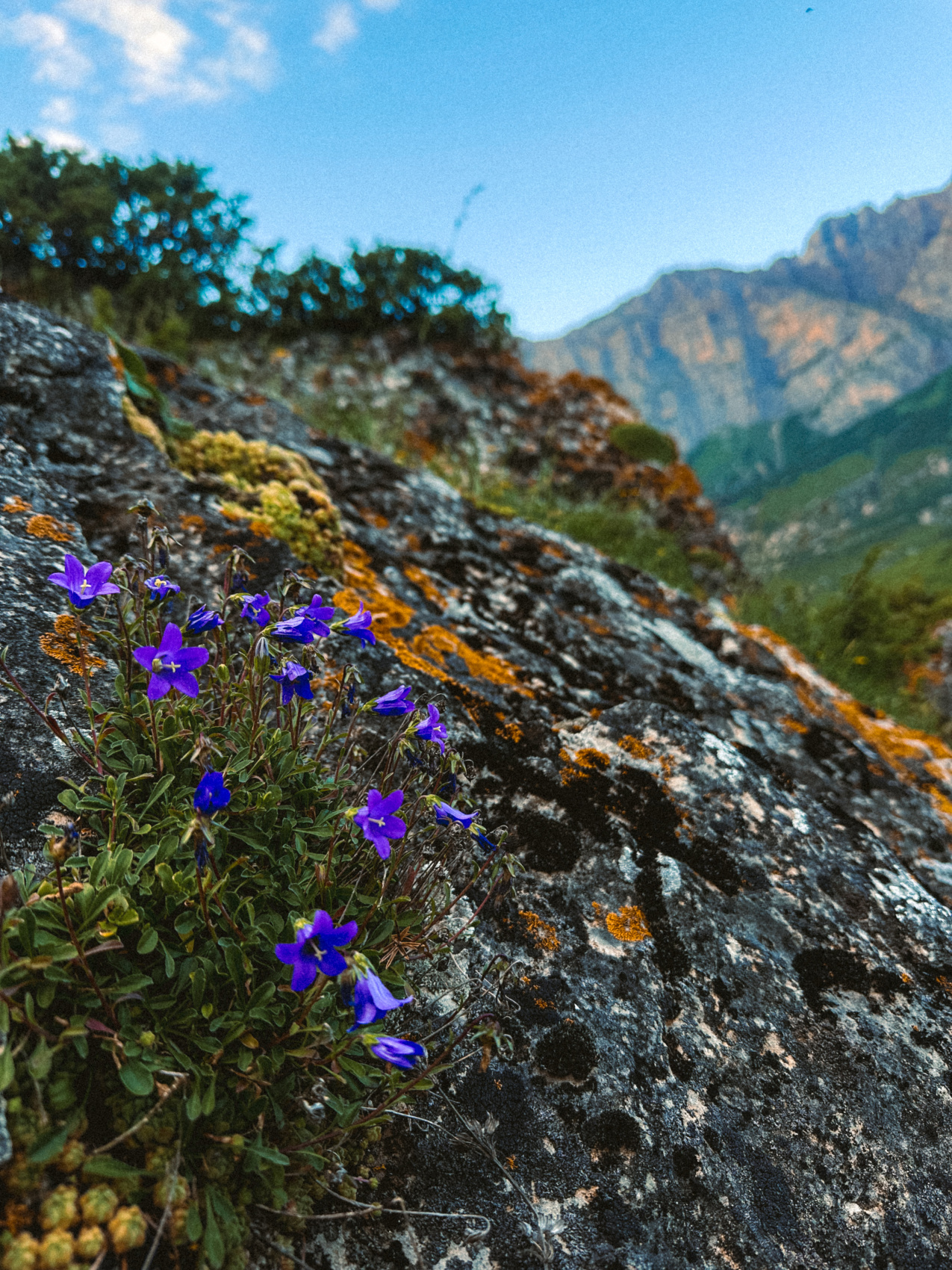 Мама, Я В Осетии. 3 Дня. Из Владикавказа! Топовый Тур (37/53)