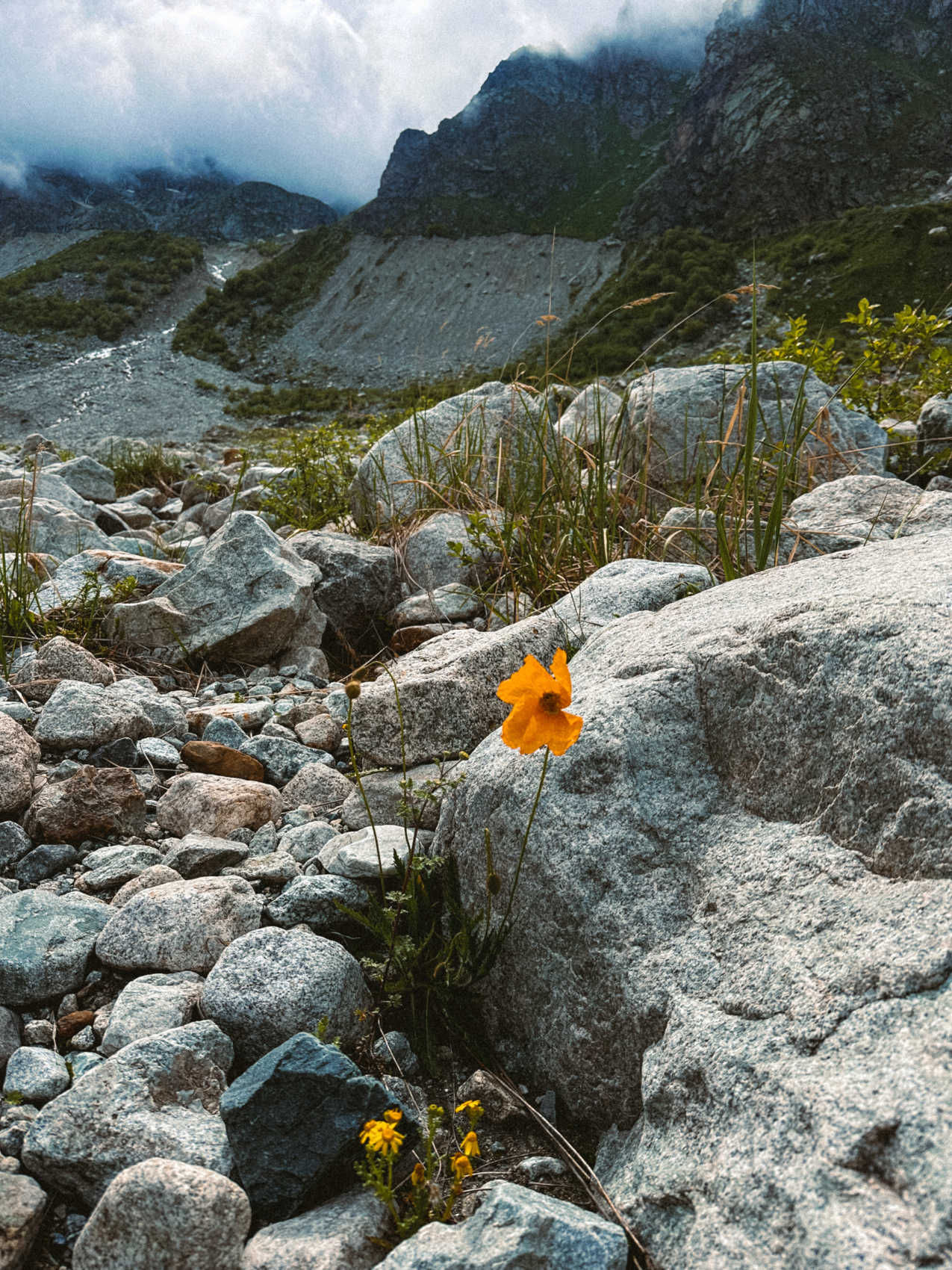 Мама, Я В Осетии. 3 Дня. Из Владикавказа! Топовый Тур (48/53)