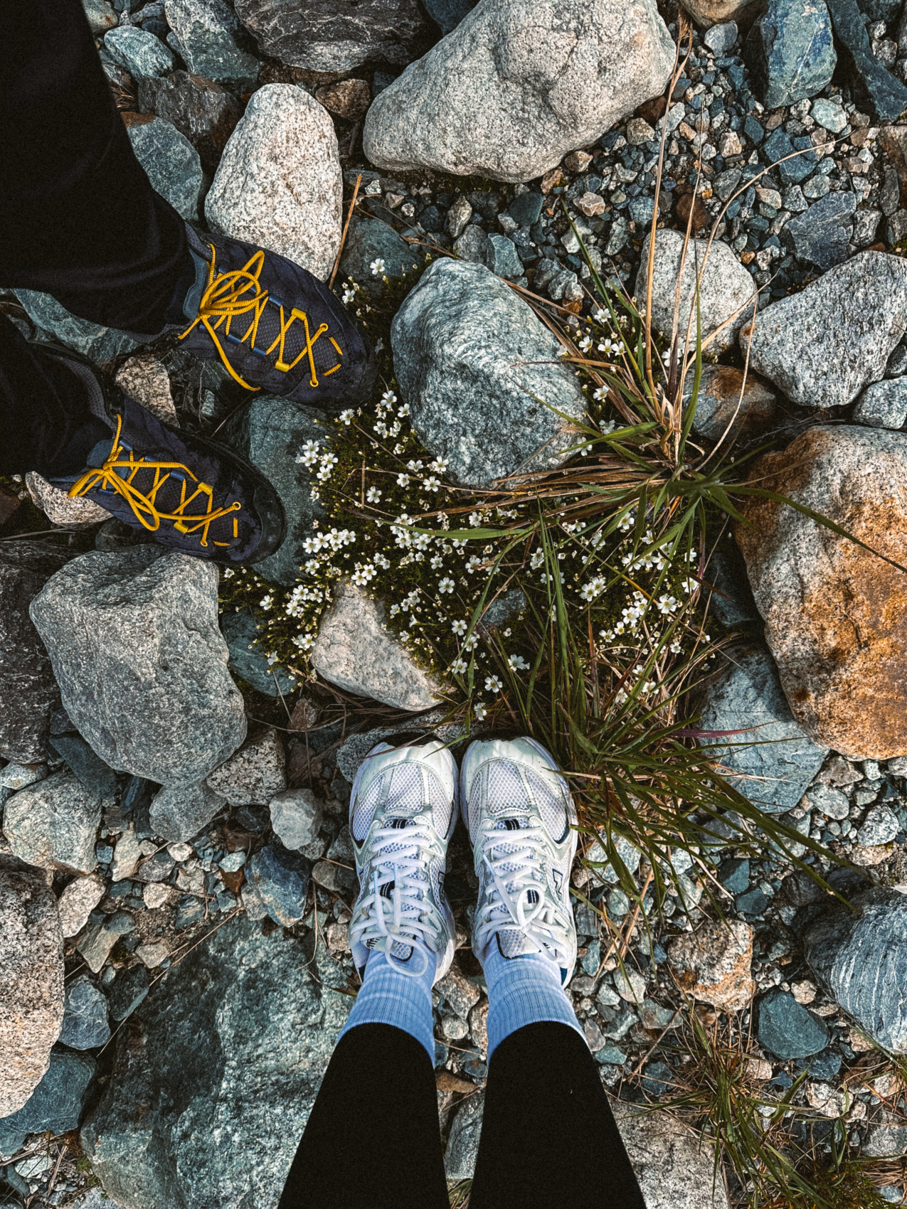 Мама, Я В Осетии. 3 Дня. Из Владикавказа! Топовый Тур (6/53)