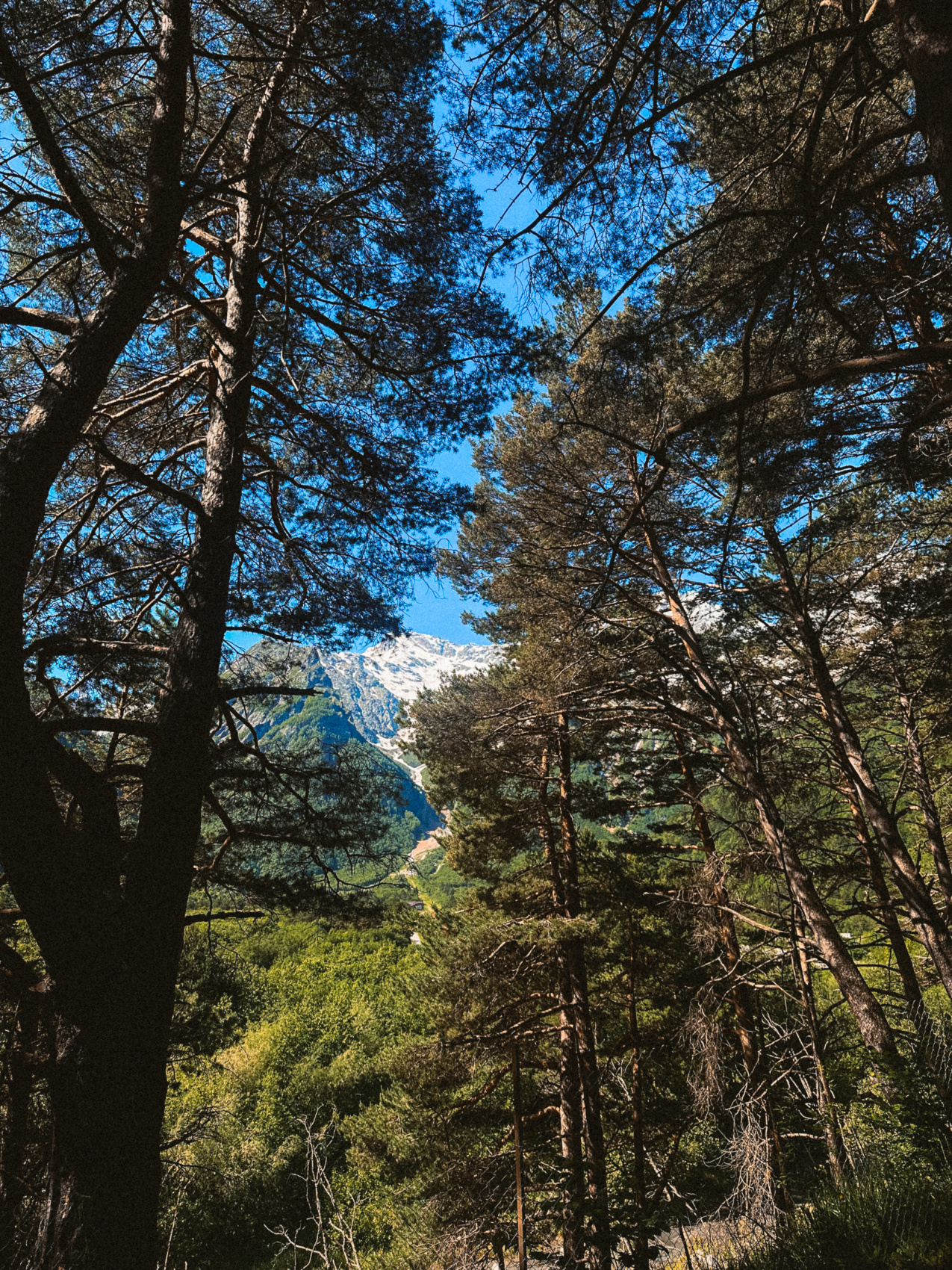Мама, Я В Осетии. 3 Дня. Из Владикавказа! Топовый Тур (41/53)