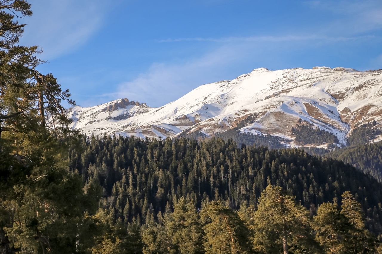 Конный тур в мини-группе Зимний Архыз (3/36)