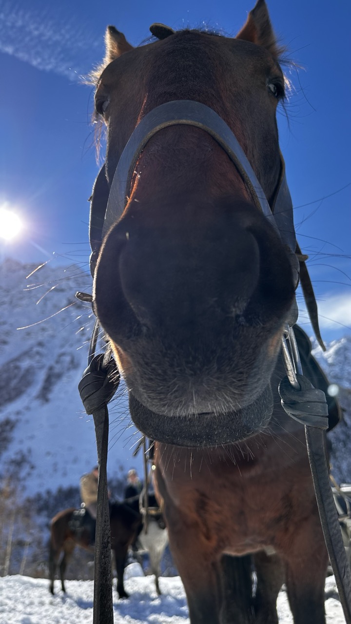 Конный тур в мини-группе Зимний Архыз (6/36)