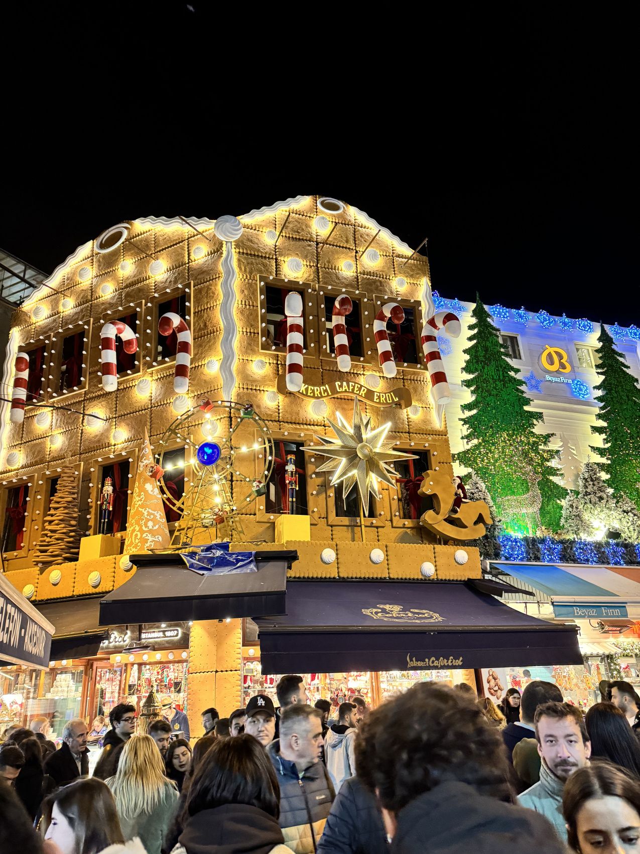 Новогодние каникулы в Стамбуле - открываем сокровищницу Турции. (63/86)