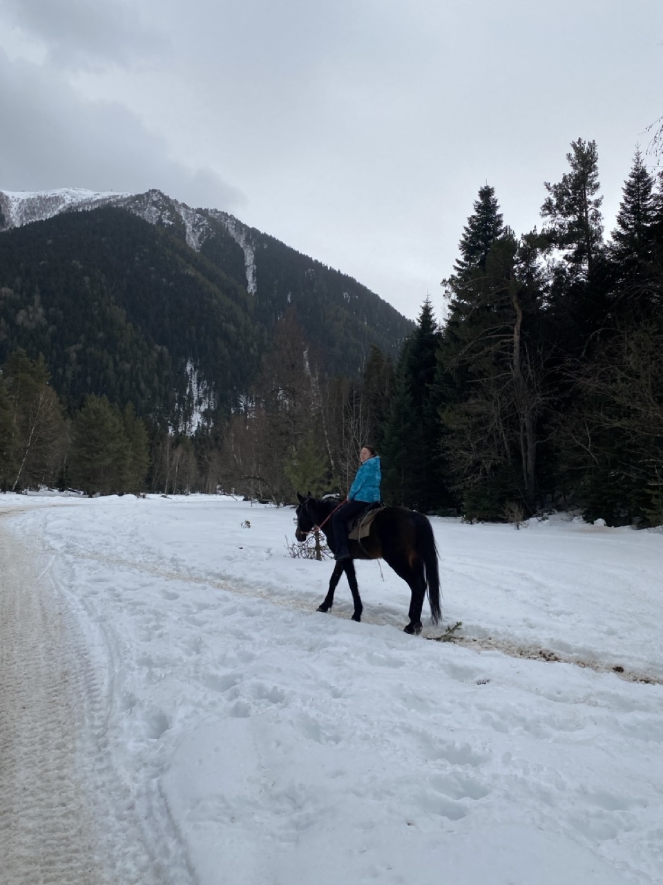 Спокойный конный тур Отдых в горах Архыза (3 дня) (5/20)