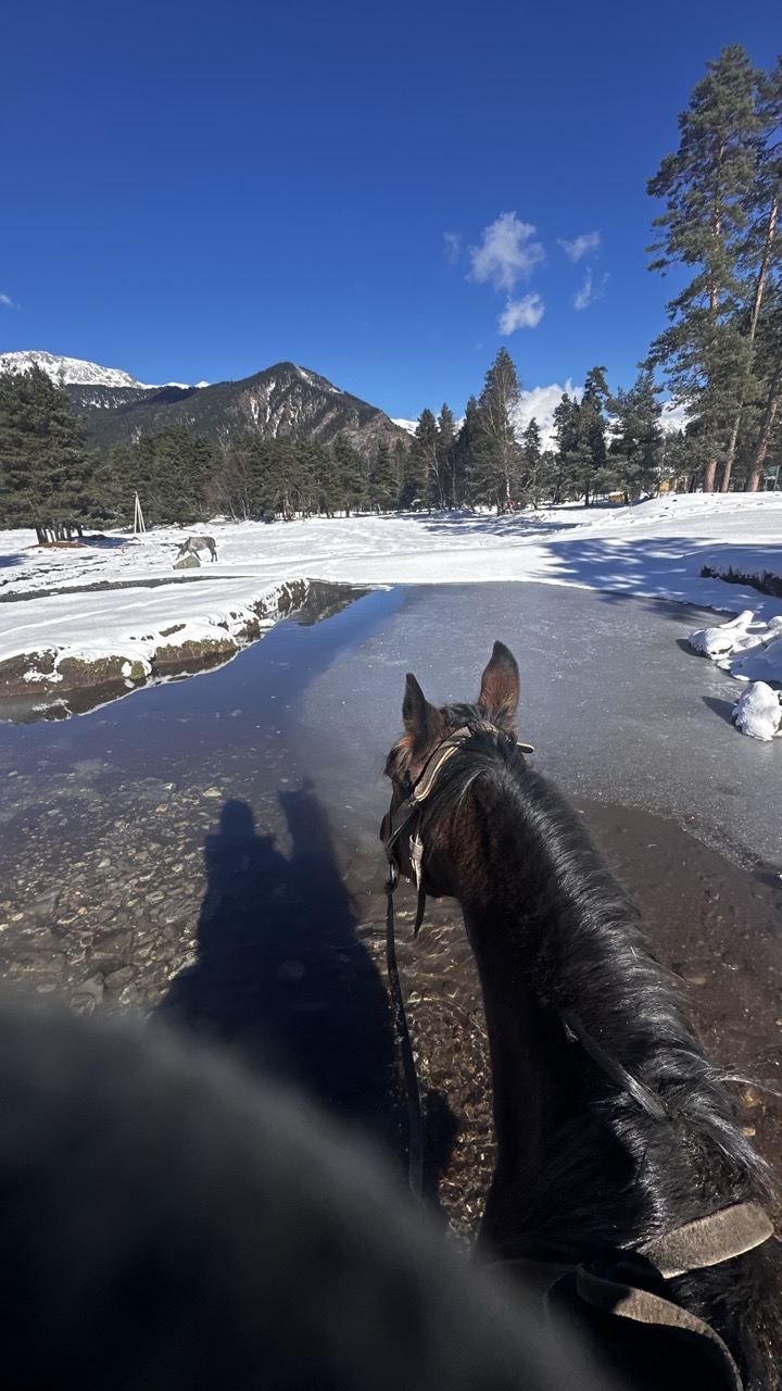 Спокойный конный тур Отдых в горах Архыза (3 дня) (8/20)