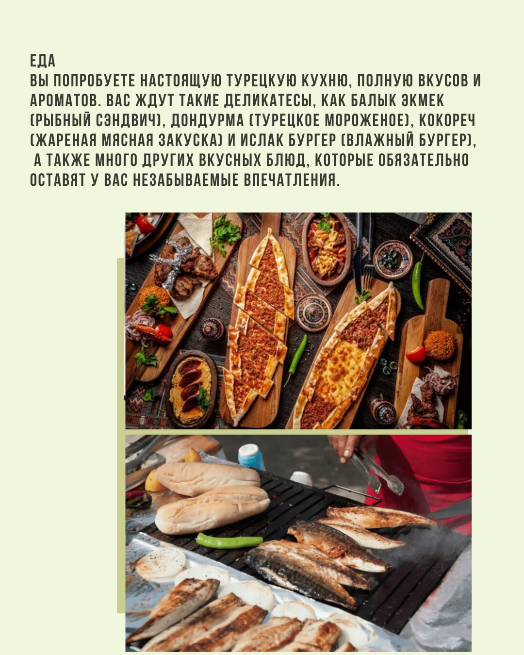 Стамбул, дворцы, мечети, Острова Принцев, Чукур  — сокровища Турции! (9/37)