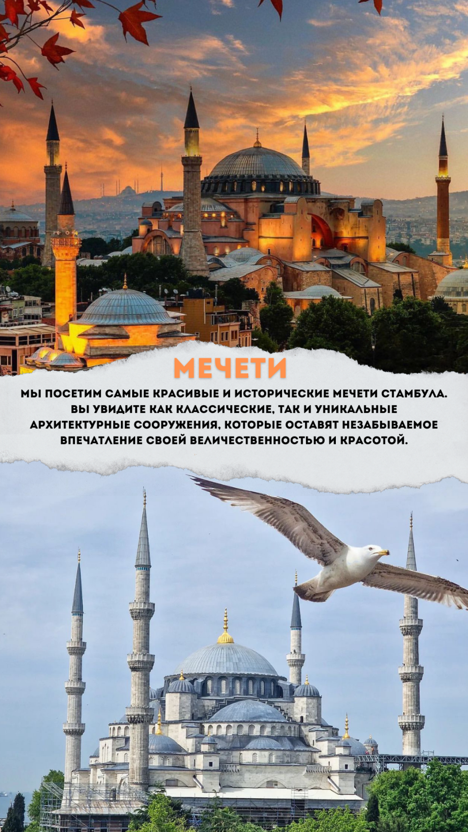 Стамбул, дворцы, мечети, Острова Принцев, Чукур  — сокровища Турции! (5/37)