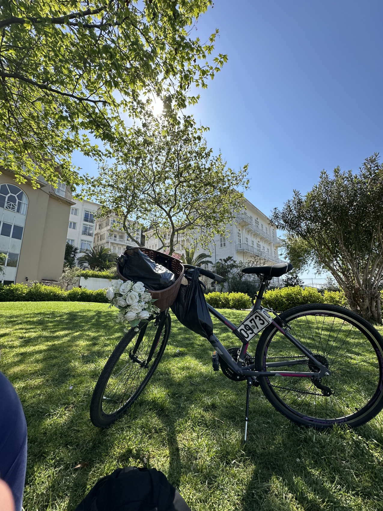 Стамбул, дворцы, мечети, Острова Принцев, Чукур  — сокровища Турции! (18/37)