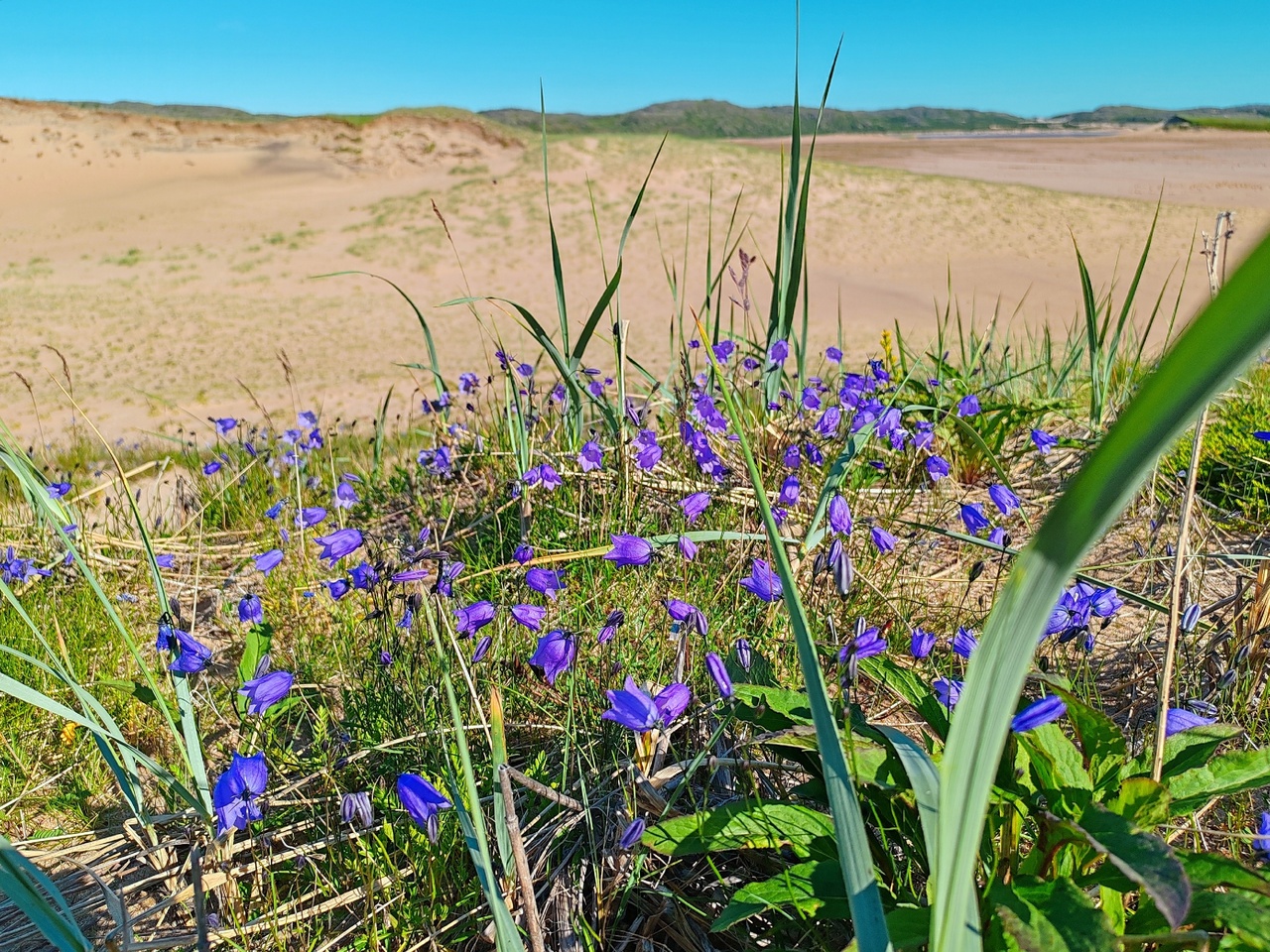 Песчаные пляжи Северного Ледовитого океана (4/27)