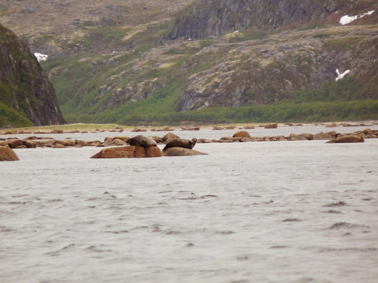 Песчаные пляжи Северного Ледовитого океана (2/27)