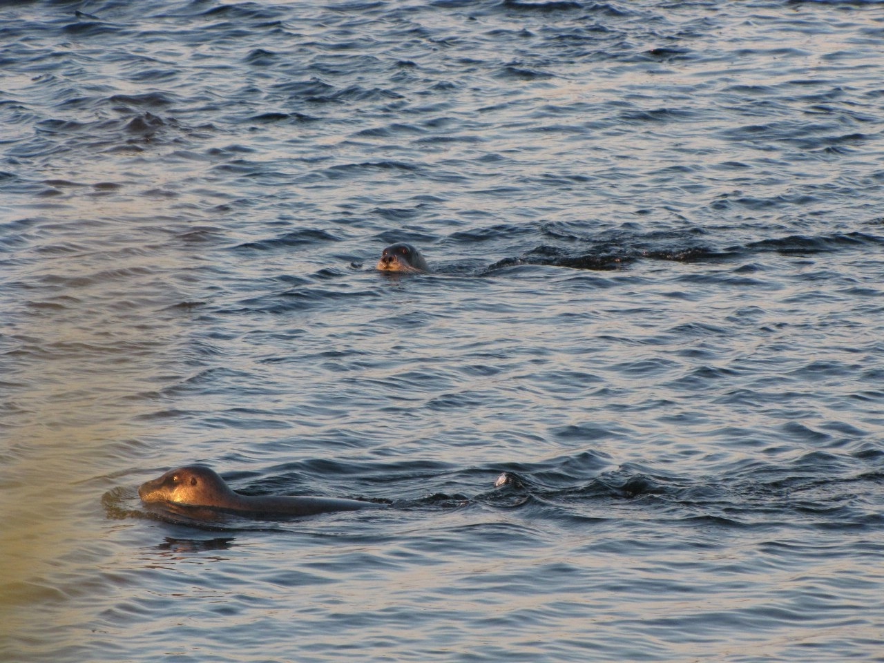 Песчаные пляжи Северного Ледовитого океана (5/27)