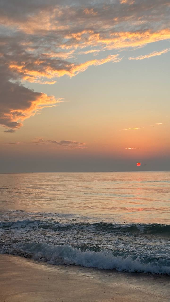 Сокотра: самый закрытый остров планеты (8/42)